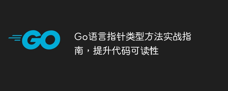 Go语言指针类型方法实战指南，提升代码可读性