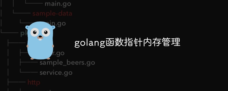 golang函数指针内存管理