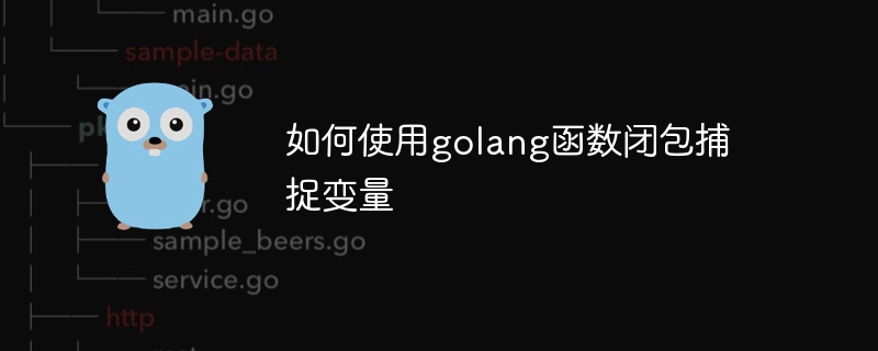 如何使用golang函数闭包捕捉变量