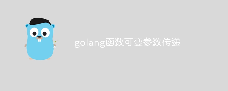 golang函数可变参数传递