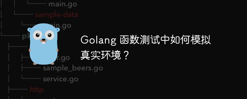 Golang 函数测试中如何模拟真实环境？