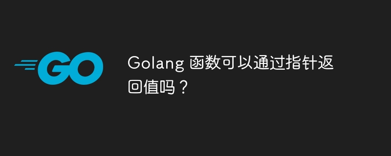 Golang 函数可以通过指针返回值吗？