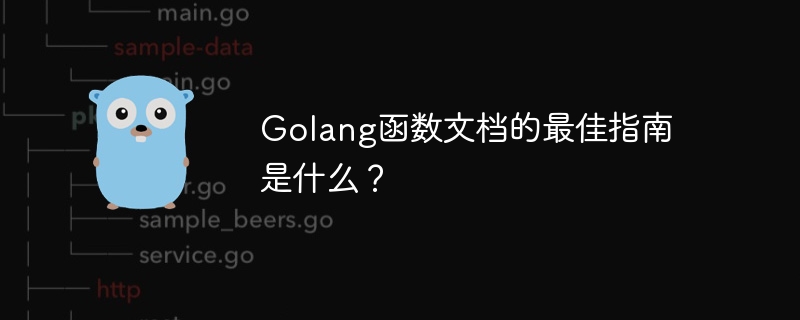 Golang函数文档的最佳指南是什么？