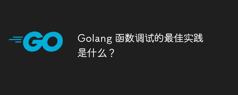 Golang 函数调试的最佳实践是什么？