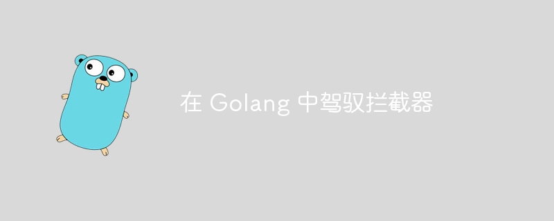 在 Golang 中驾驭拦截器