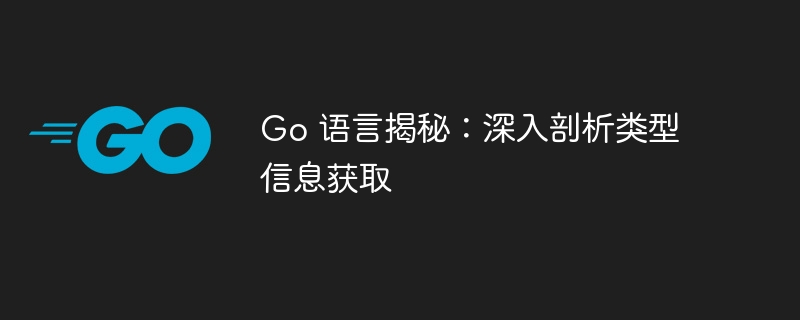 Go 语言揭秘：深入剖析类型信息获取