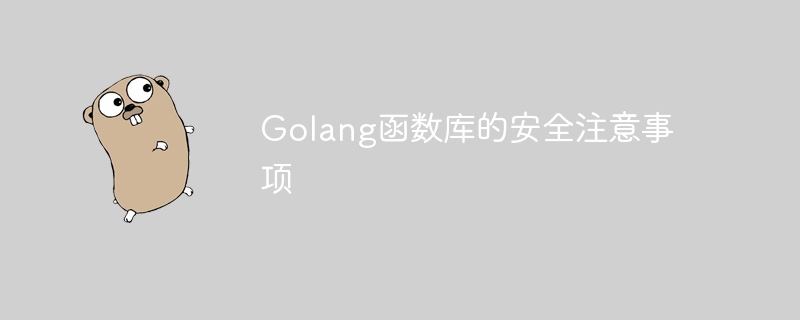 Golang函数库的安全注意事项