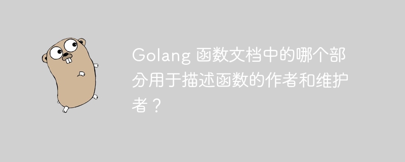 Golang 函数文档中的哪个部分用于描述函数的作者和维护者？