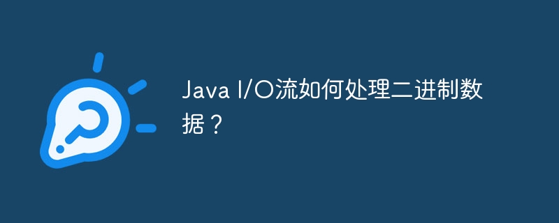 Java I/O流如何处理二进制数据？