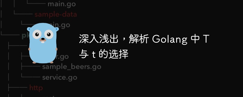 深入浅出，解析 Golang 中 T 与 t 的选择