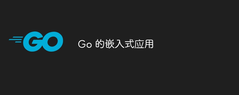 Go 的嵌入式应用