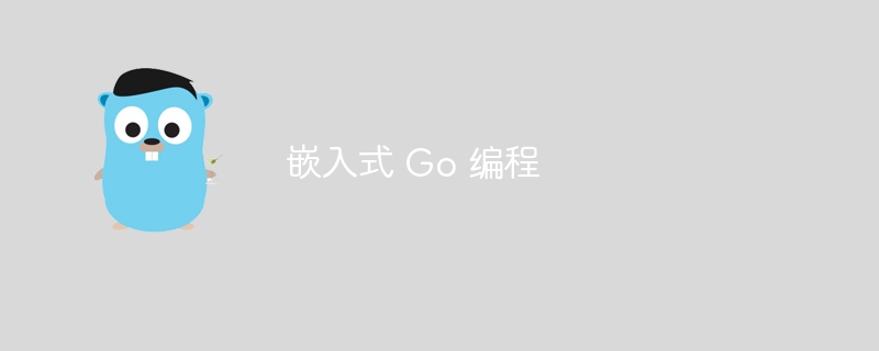 嵌入式 Go 编程