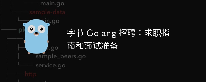 字节 Golang 招聘：求职指南和面试准备