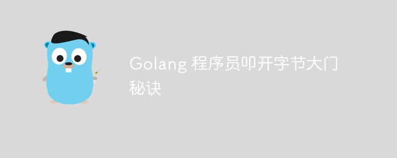 Golang 程序员叩开字节大门秘诀