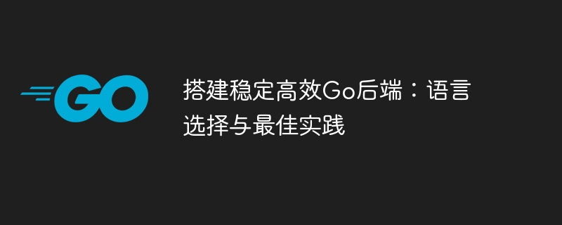 搭建稳定高效Go后端：语言选择与最佳实践