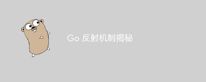 Go 反射机制揭秘