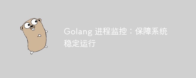 Golang 进程监控：保障系统稳定运行