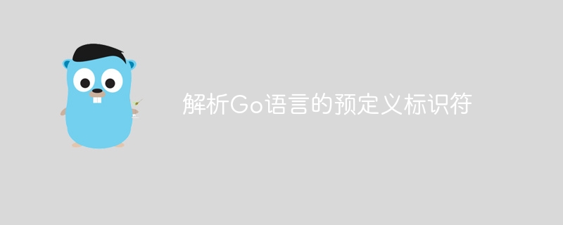 解析Go语言的预定义标识符