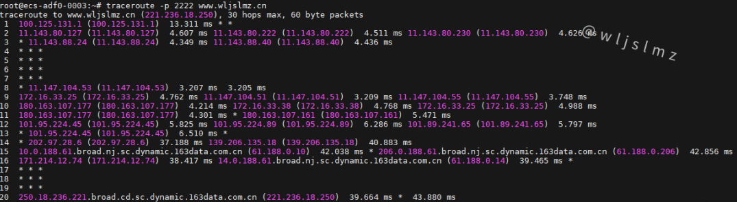 老板让我在Linux中使用traceroute排查服务器网络问题，幸好我收藏了这篇文章！