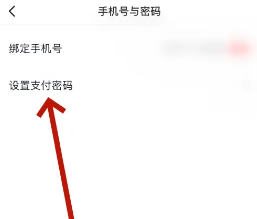 西瓜视频支付密码怎么设置