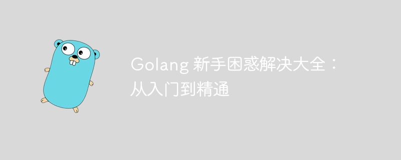 Golang 新手困惑解决大全：从入门到精通