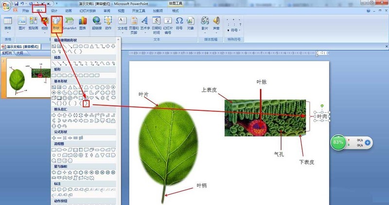 PPT怎么画树叶的结构名称图解 ppt画树叶的结构图的技巧