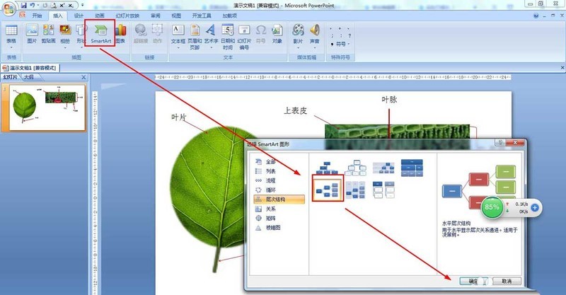 PPT怎么画树叶的结构名称图解 ppt画树叶的结构图的技巧