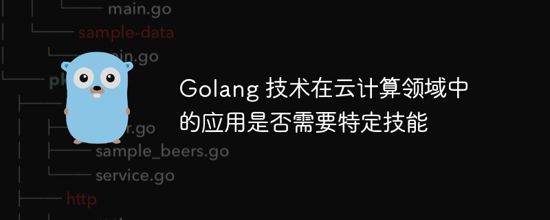 Golang 技术在云计算领域中的应用是否需要特定技能