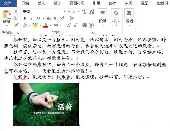 word2013文档插入图片的具体方法