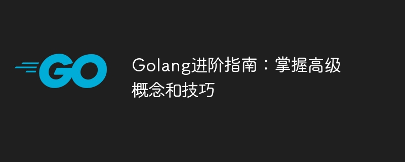 Golang进阶指南：掌握高级概念和技巧