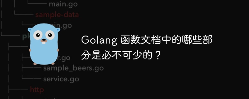 Golang 函数文档中的哪些部分是必不可少的？