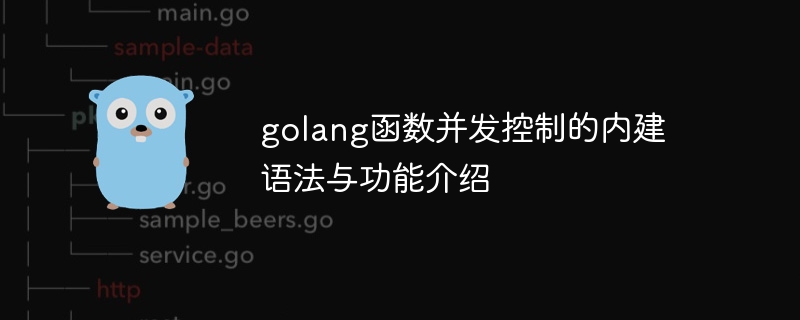 golang函数并发控制的内建语法与功能介绍