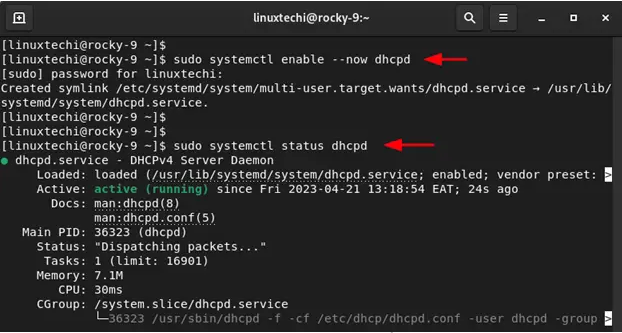 在 RHEL 9 / Rocky Linux 9 上配置 DHCP 服务器