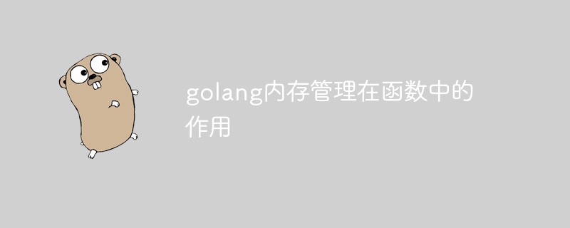 golang内存管理在函数中的作用