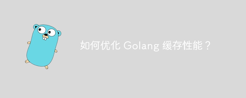 如何优化 Golang 缓存性能？