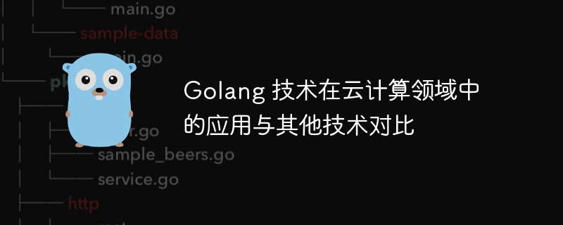 Golang 技术在云计算领域中的应用与其他技术对比