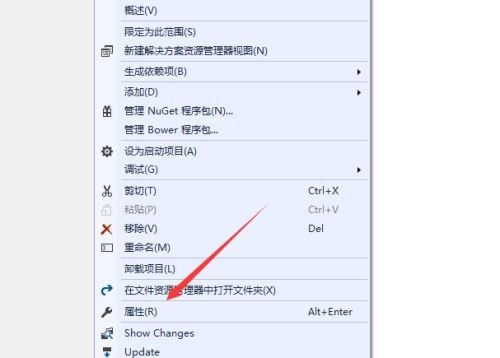 Visual Studio 2019怎么设置IIS Visual Studio 2019设置IIS教程