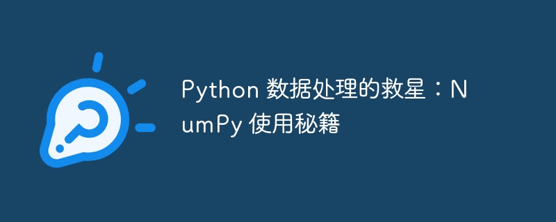 Python 数据处理的救星：NumPy 使用秘籍