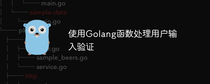 使用Golang函数处理用户输入验证