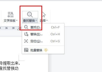 WPS文字怎么快速查找所有字母内容_一个操作搞定