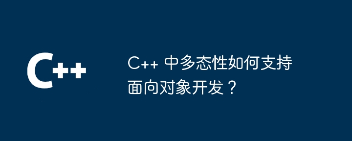 C++ 中多态性如何支持面向对象开发？