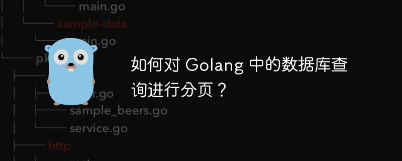 如何对 Golang 中的数据库查询进行分页？