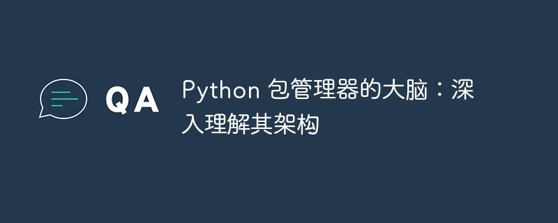 Python 包管理器的大脑：深入理解其架构