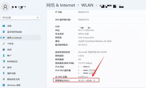 Windows11怎么查找网络mac地址 查找网络mac地址方法