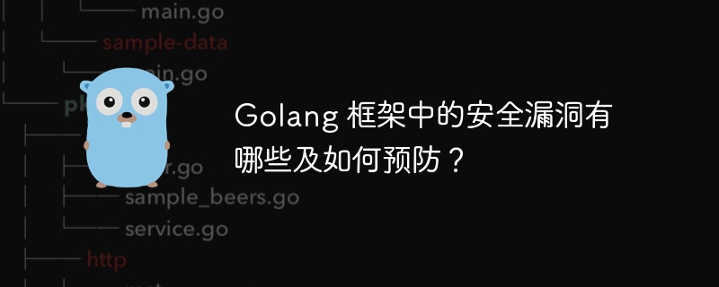 Golang 框架中的安全漏洞有哪些及如何预防？