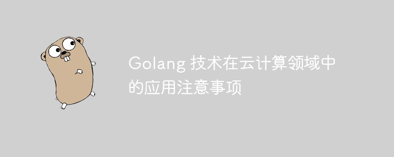 Golang 技术在云计算领域中的应用注意事项