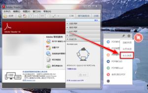 Adobe ReaderXI怎么关闭悬浮窗口 Adobe ReaderXI关闭悬浮窗口的方法