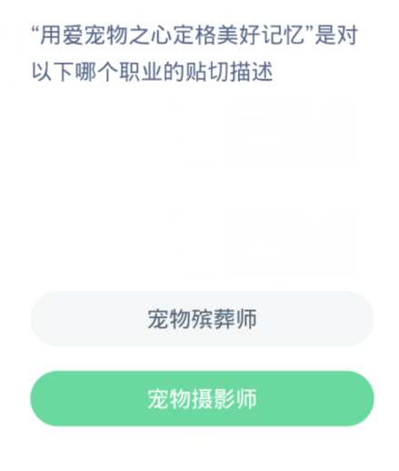 蚂蚁新村每日一题3.13：用爱宠物之心定格美好记忆是对以下哪个职业的贴切描述