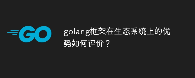 golang框架在生态系统上的优势如何评价？