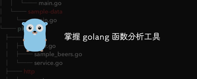 掌握 golang 函数分析工具